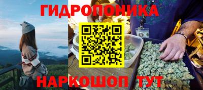 гидропоника Можга