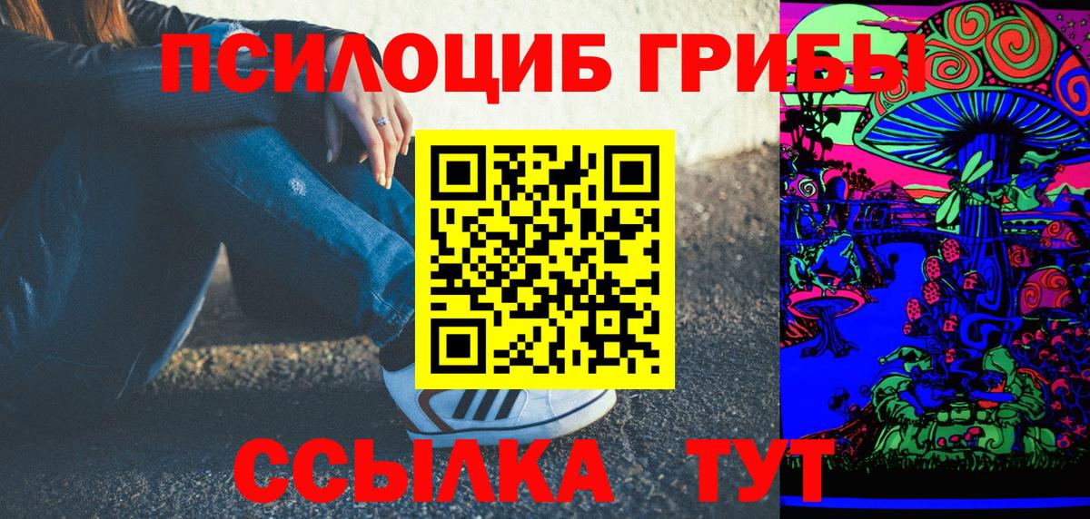 Галлюциногенные грибы Psilocybine cubensis  закладка  Улан-Удэ  Вход с VPN 