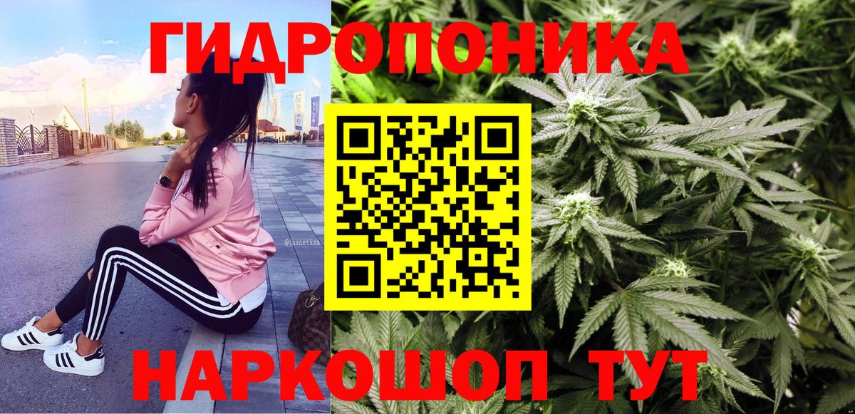 Бошки Шишки MAZAR Улан-Удэ